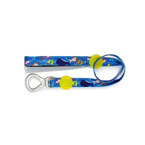 Guai-para-Caes-Sail-Dog27-Petluni