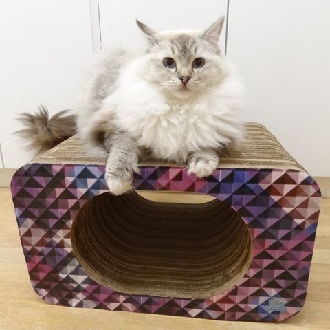Arranhador-para-Gatos-em-Papelao-Pet-Games-Cat-Box-Oval-Rosa-7898947774312-pet-luni