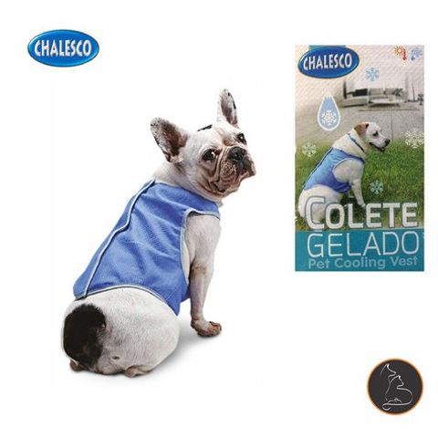 colete-gelado-para-caes-chalesco-pet-luni
